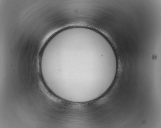 X0000111631078200907171122