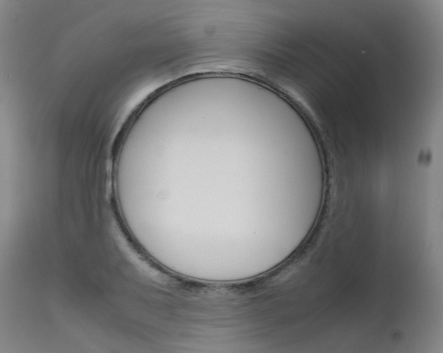 X0000111631079200907171122