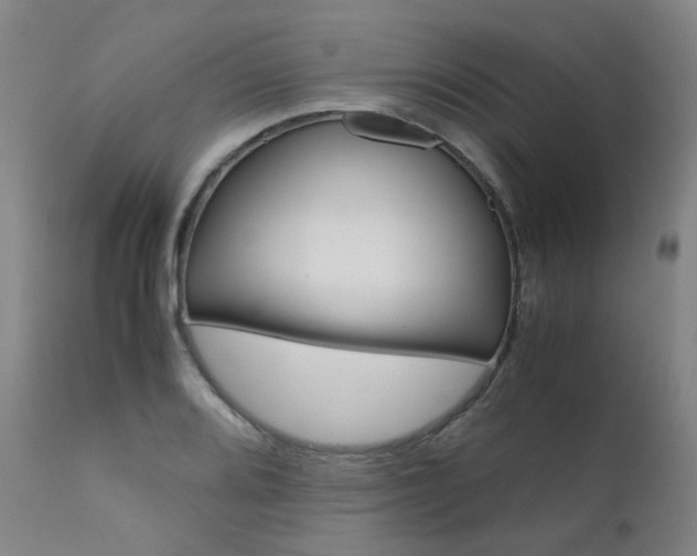 X0000111631080200907171122