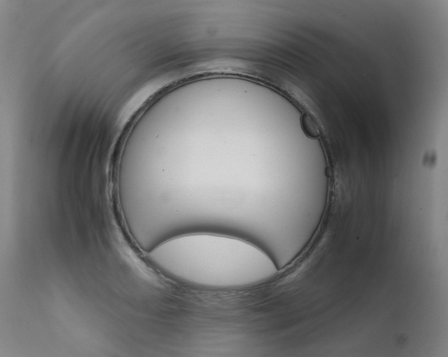 X0000111631082200907171122