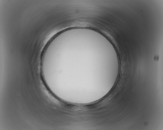 X0000111631083200907171122
