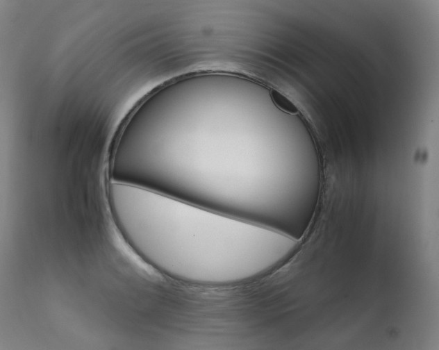 X0000111631084200907171122