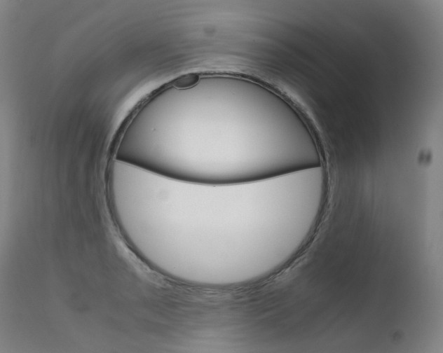 X0000111631085200907171122