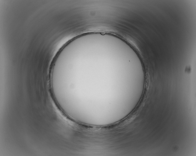 X0000111631087200907171122