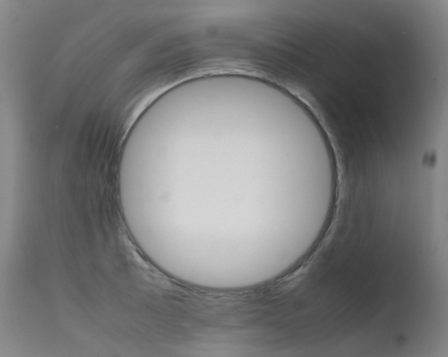 X0000111631089200907171122