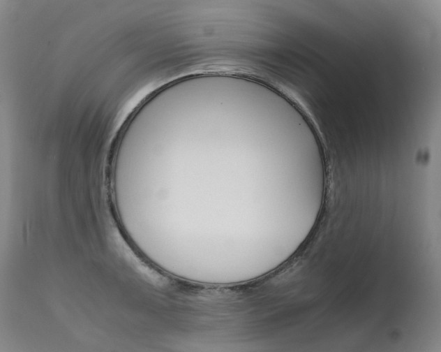 X0000111631091200907171122