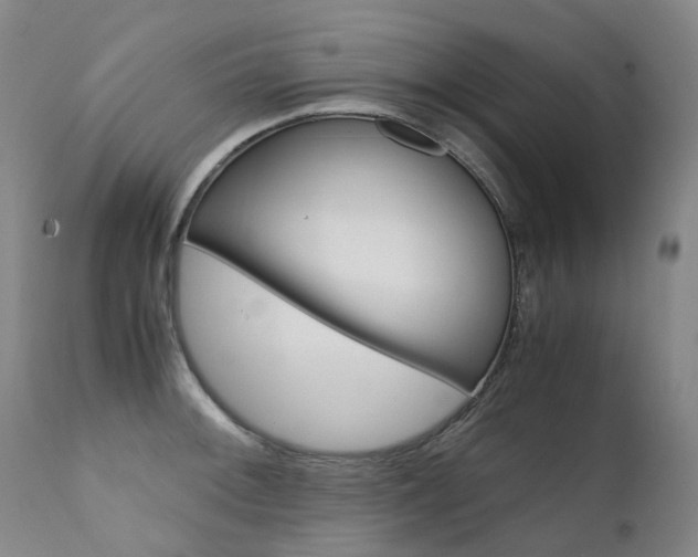 X0000111631092200907171122