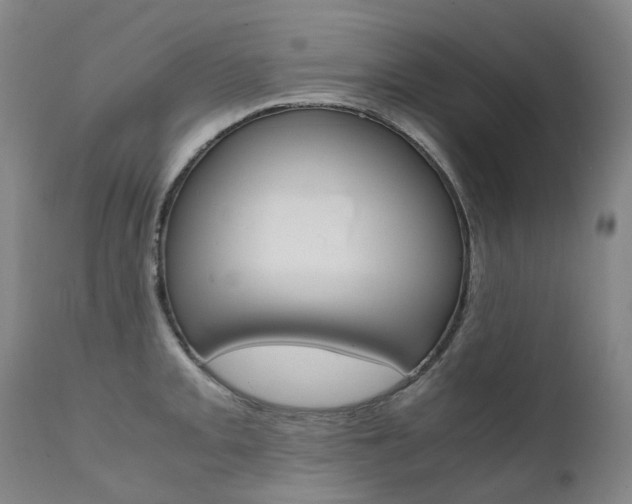X0000111631093200907171122