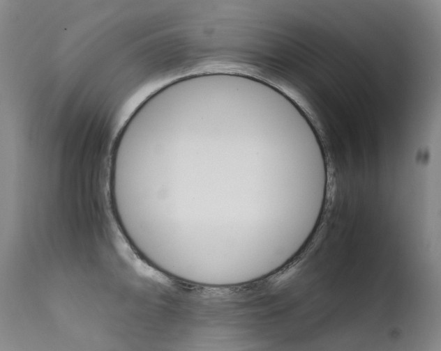X0000111631094200907171122