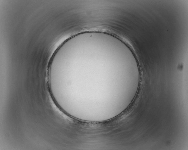 X0000111631095200907171122