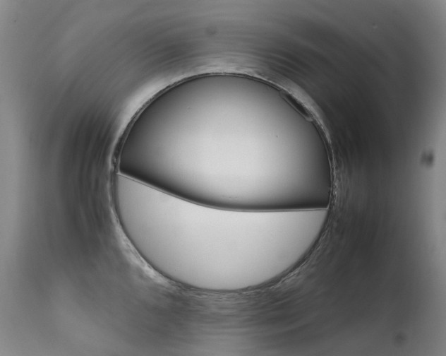 X0000111631096200907171122