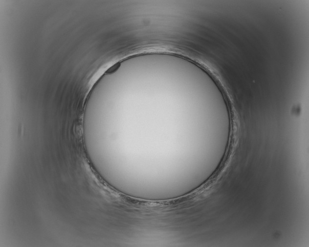 X0000111631097200907171122