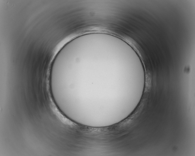 X0000111631098200907171122
