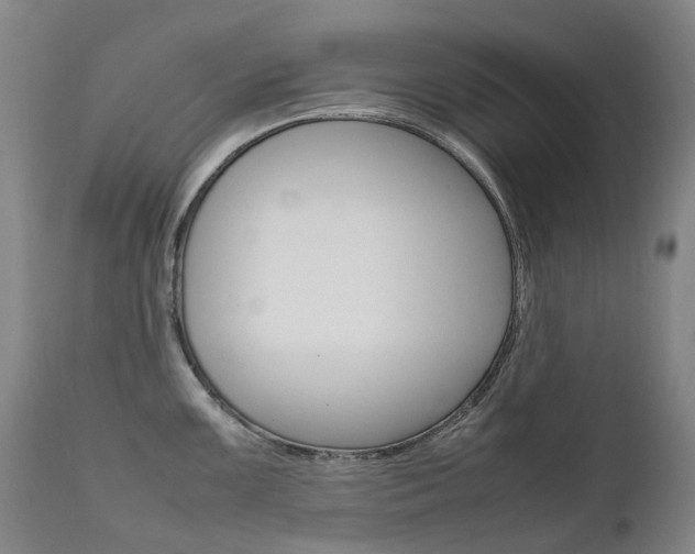 X0000111631099200907171122