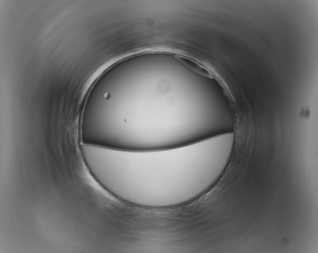 X0000111631100200907171122