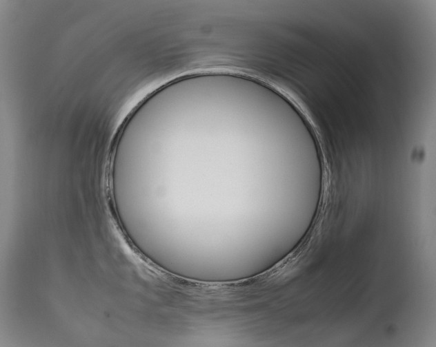 X0000111631101200907171122