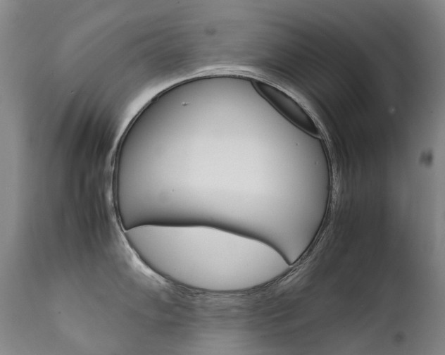 X0000111631102200907171122
