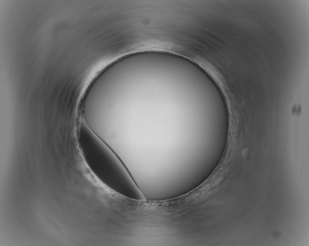 X0000111631104200907171122