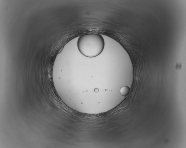 X0000111631106200907171121