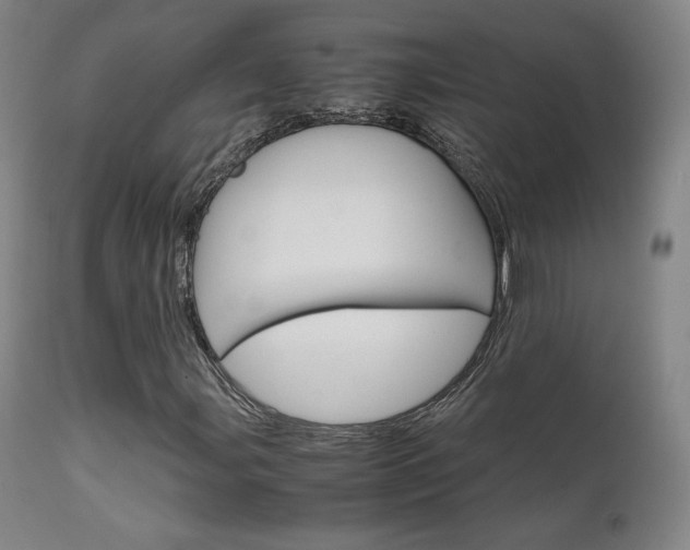 X0000111631107200907171121