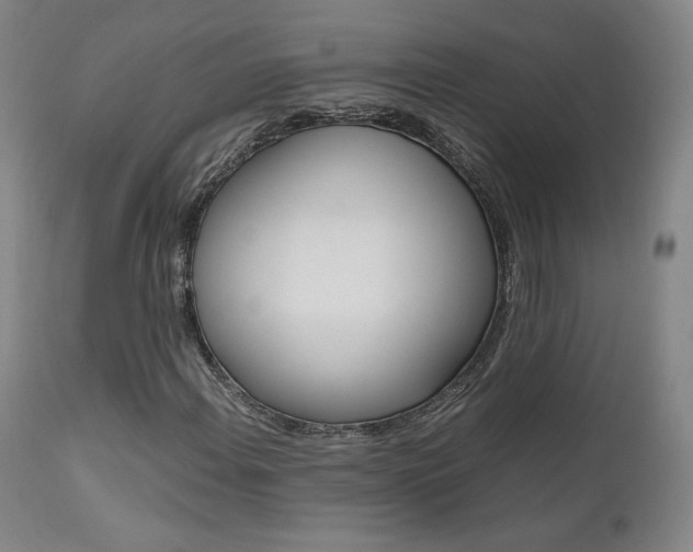 X0000111631108200907171121