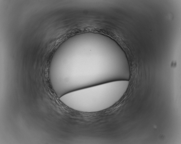 X0000111631109200907171121