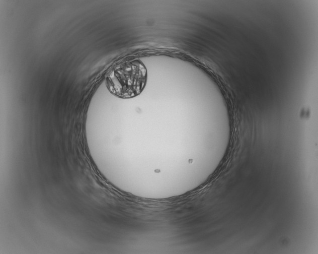X0000111631110200907171121