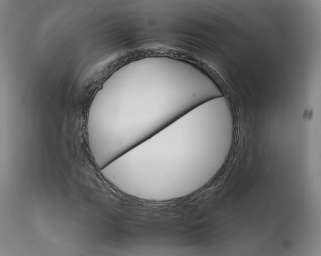 X0000111631111200907171122