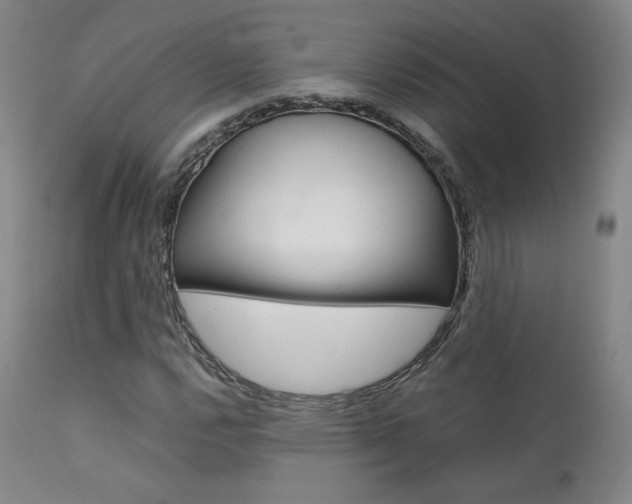 X0000111631112200907171122