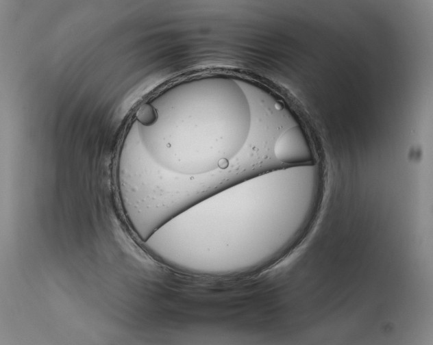 X0000111631113200907171122