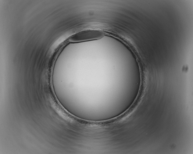 X0000111631114200907171122