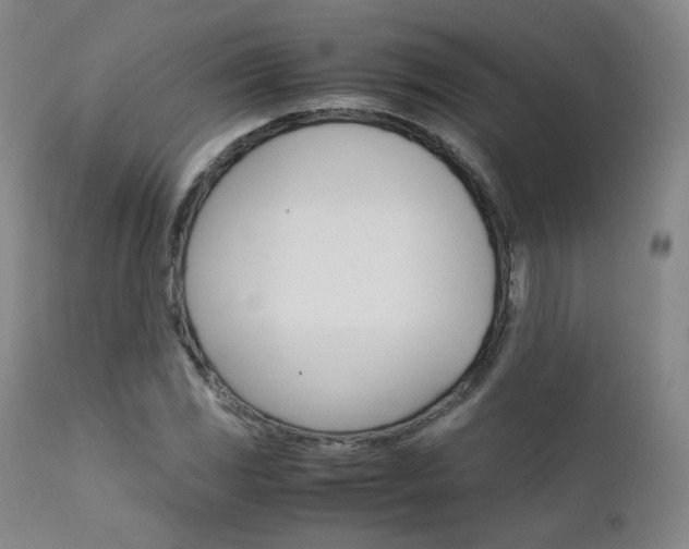 X0000111631117200907171122