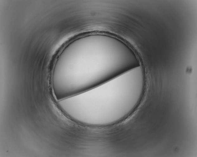 X0000111631118200907171122