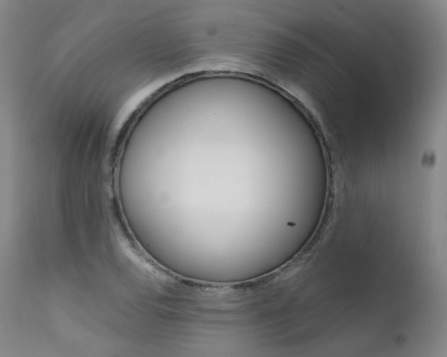 X0000111631120200907171122