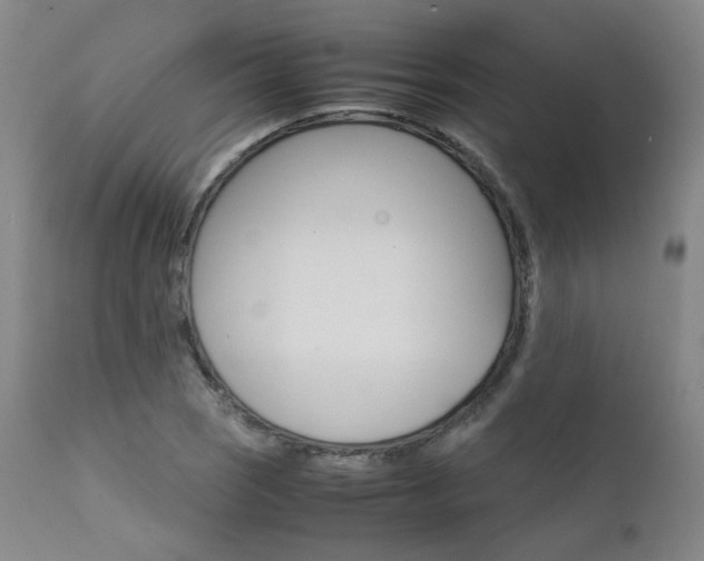 X0000111631121200907171122