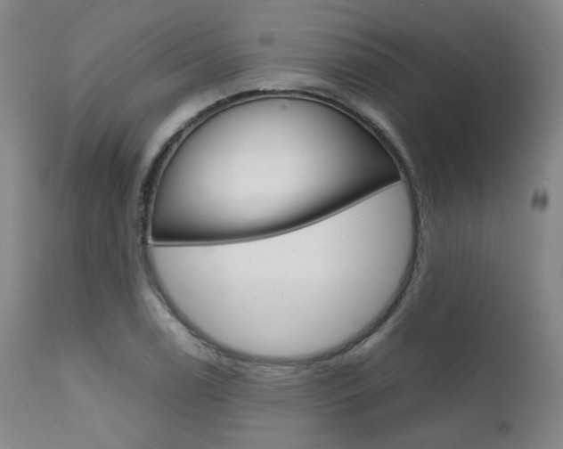 X0000111631122200907171122