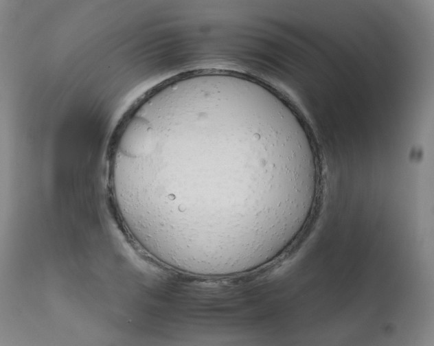 X0000111631125200907171122