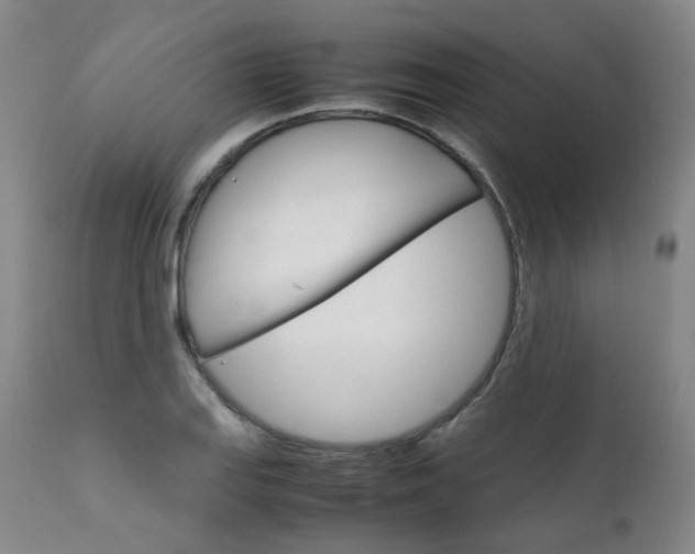 X0000111631127200907171122