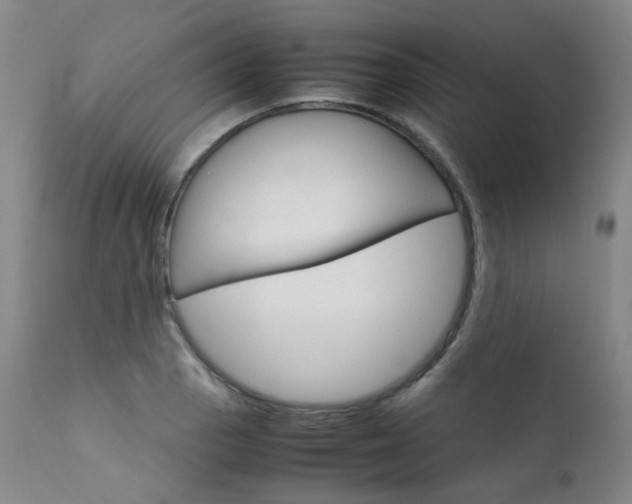 X0000111631129200907171122