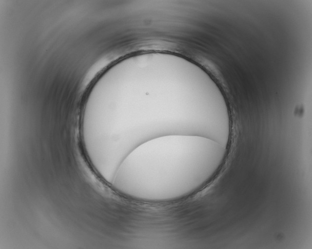 X0000111631130200907171122