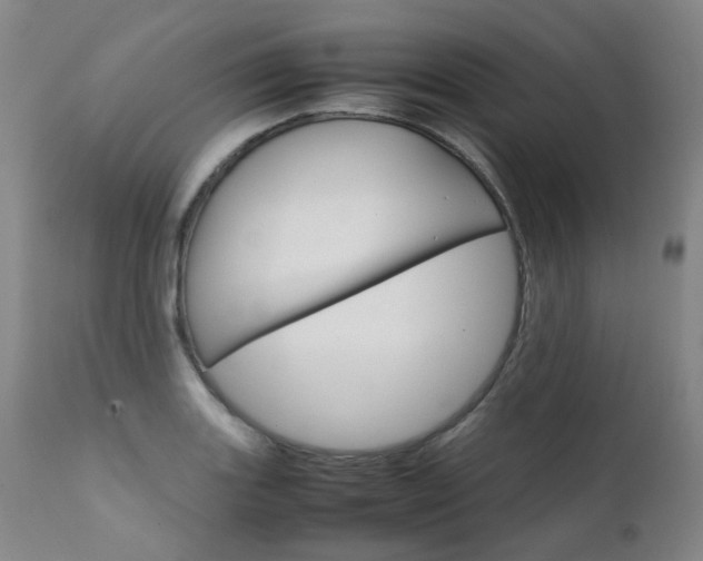 X0000111631131200907171122
