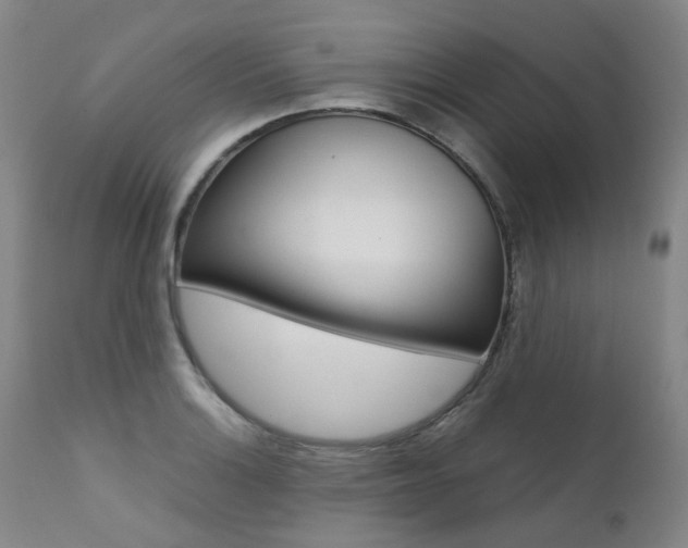 X0000111631132200907171122