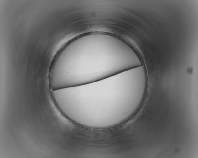 X0000111631133200907171122