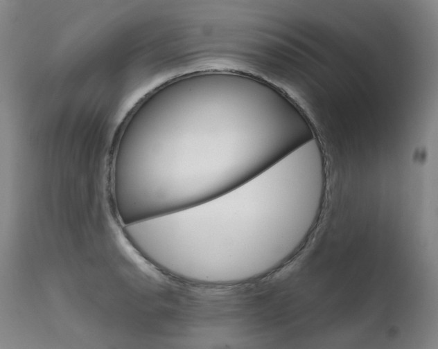 X0000111631134200907171122