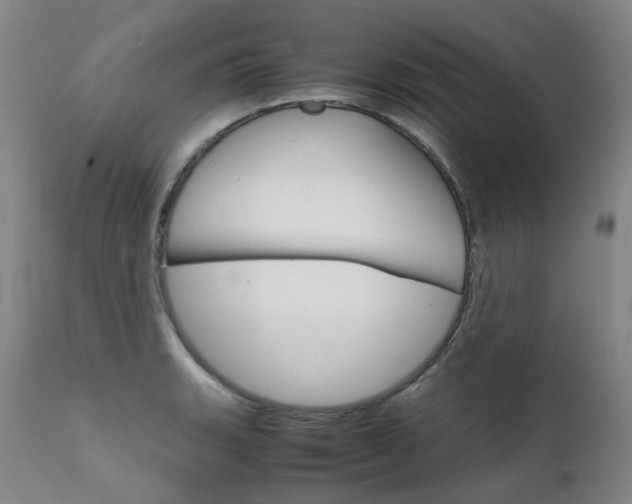 X0000111631135200907171122