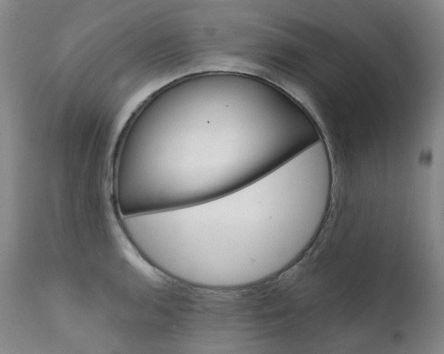 X0000111631136200907171122