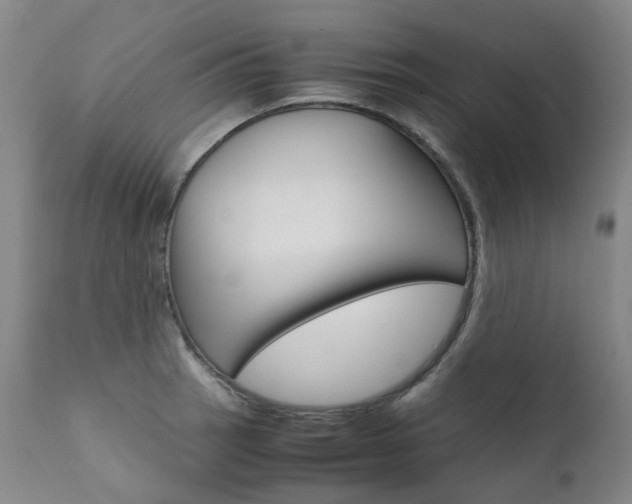 X0000111631137200907171122