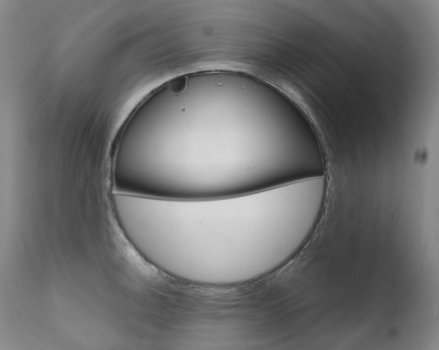 X0000111631140200907171122