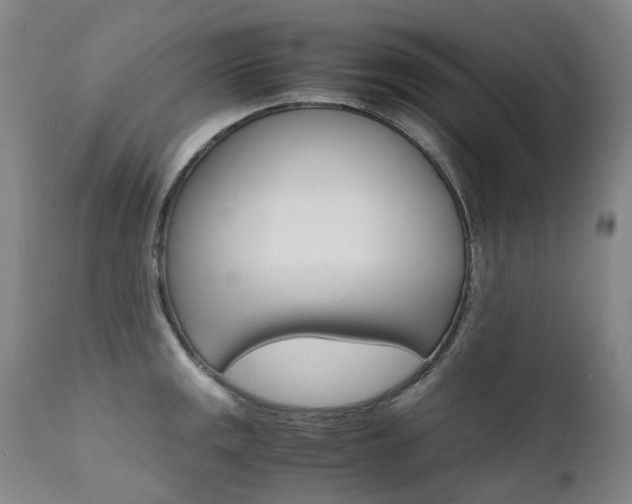 X0000111631141200907171122