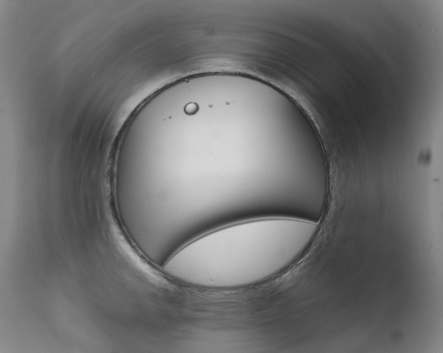 X0000111631142200907171122